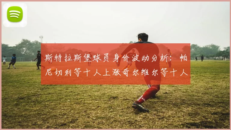 斯特拉斯堡球员身价波动分析：帕尼切利等十人上涨奇尔维尔等十人下滑
