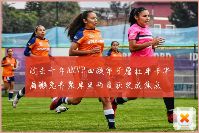 过去十年AMVP回顾华子詹杜库卡字眉獭兔齐聚库里两度获奖成焦点
