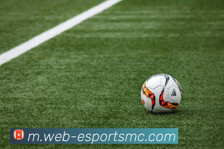 易倍体育平台生态图